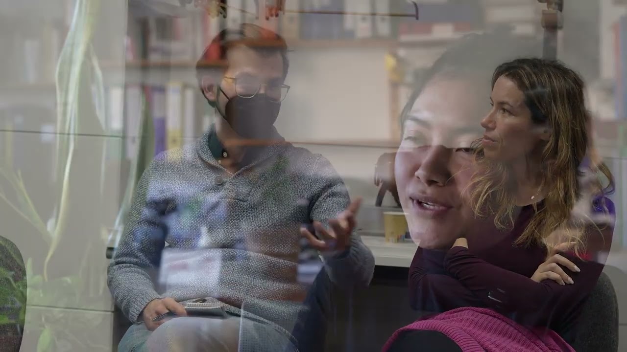 Voluntariado en Farmamundi: participar, aprender y cuidar la salud glocal