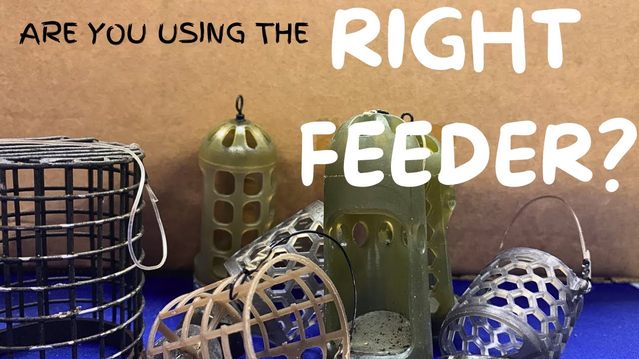 FEEDER FISHING - ARE YOU USING THE RIGHT FEEDER? THE FEEDERS THAT WON THE EUROPEAN CUP