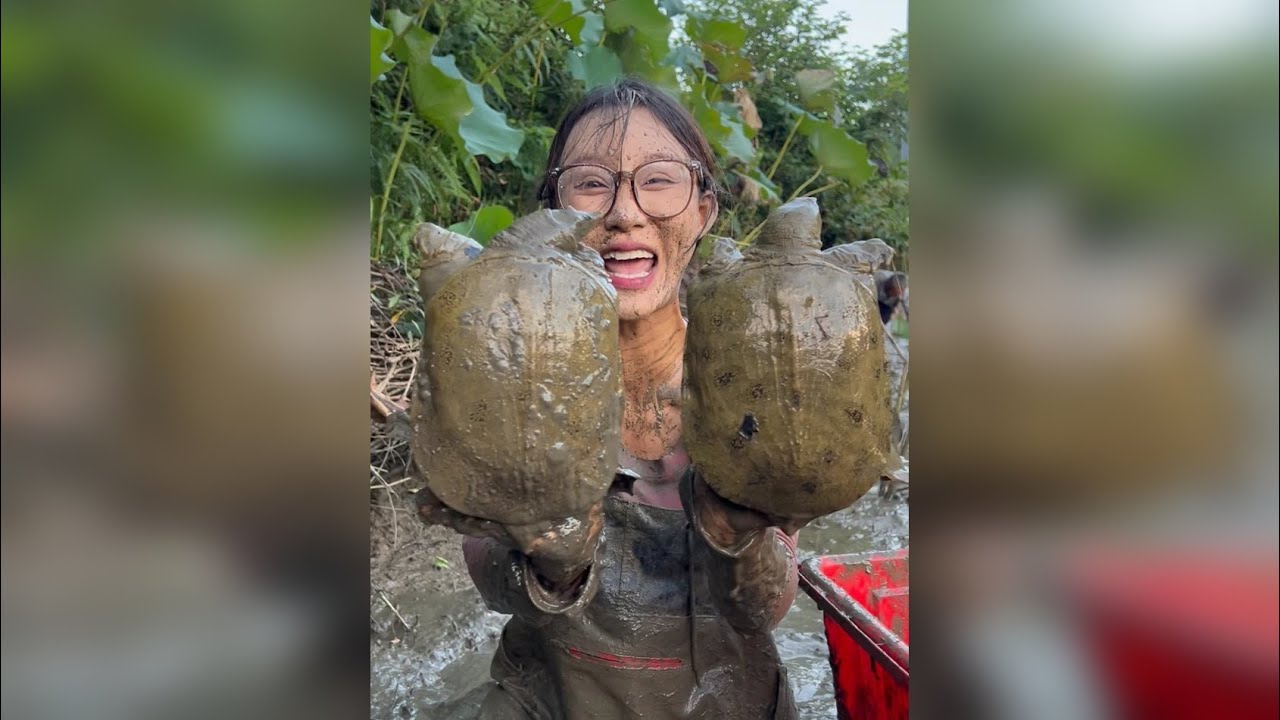 路过看见一只大甲鱼，花1000包下这个荷花塘，没想到货这么多
