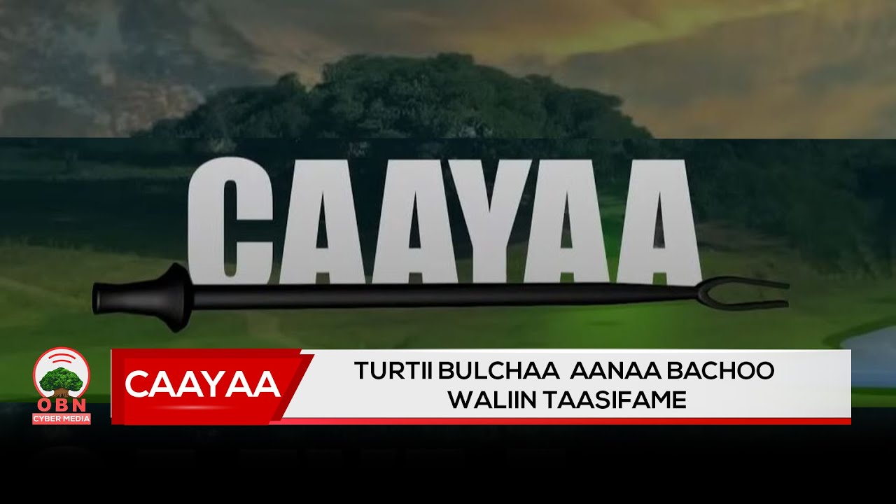 Nama qophii Caayaaf yaada kenne hidhuun maaliifi?