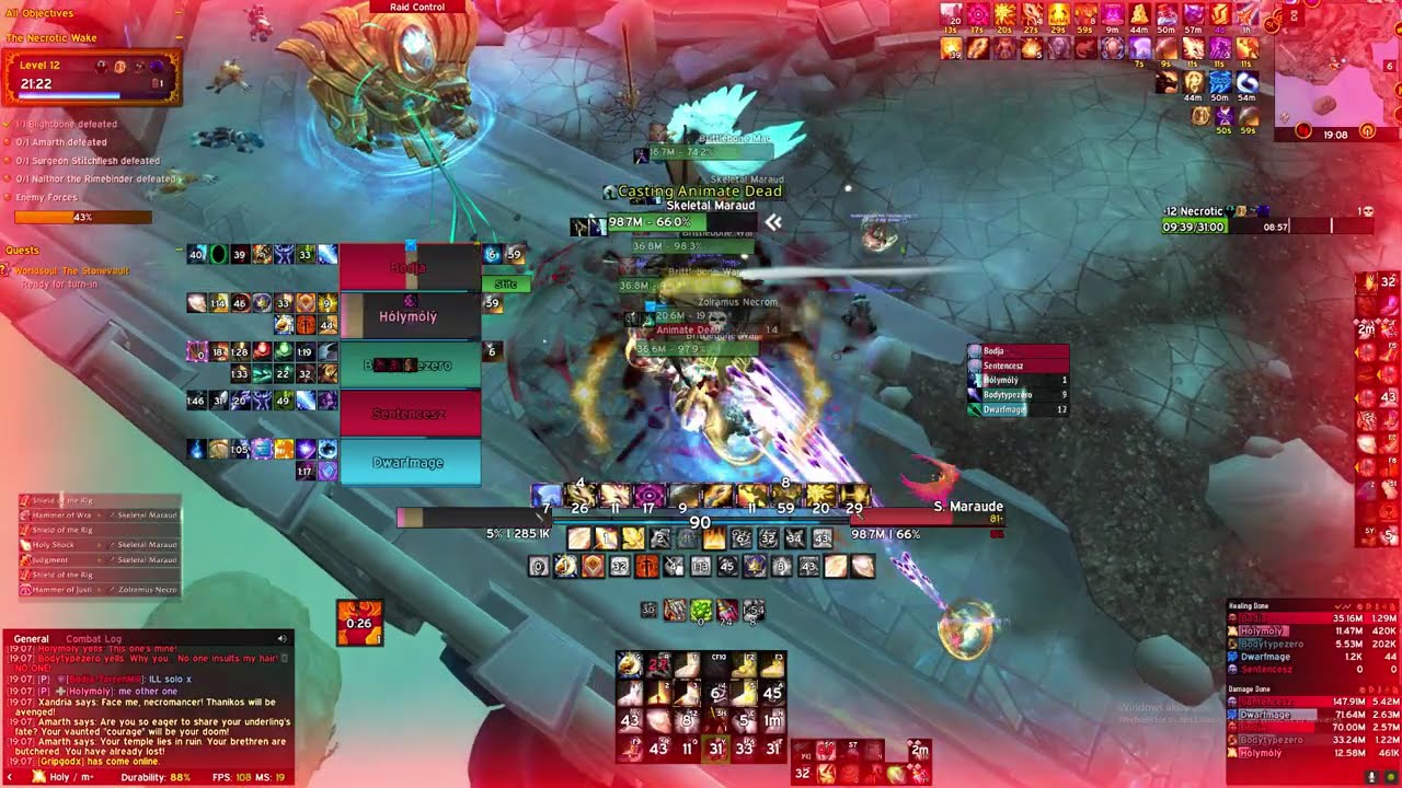 +12  The Necrotic Wake | TWW Season 1 | HolyPala POV