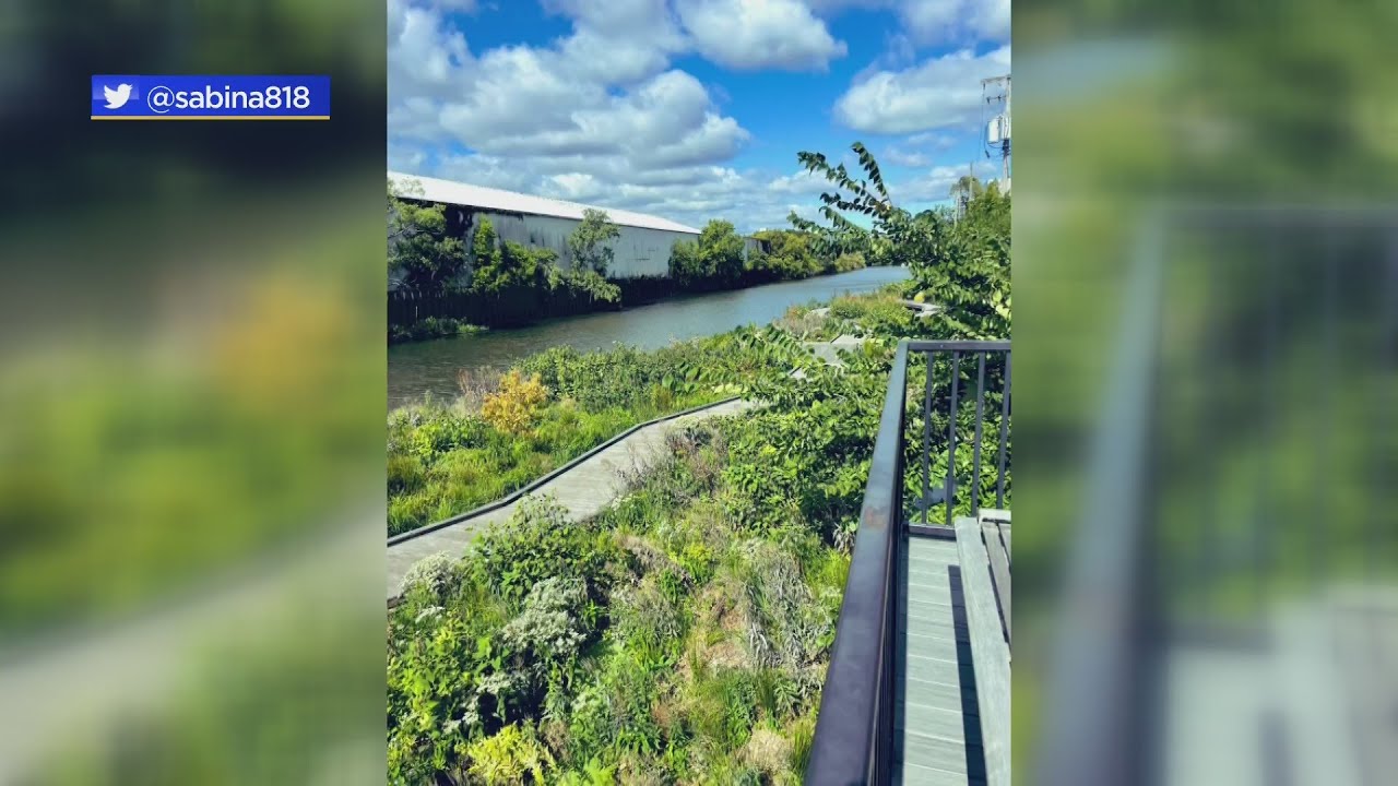 City's first floating eco-park, Wild Mile, opens near Goose Island