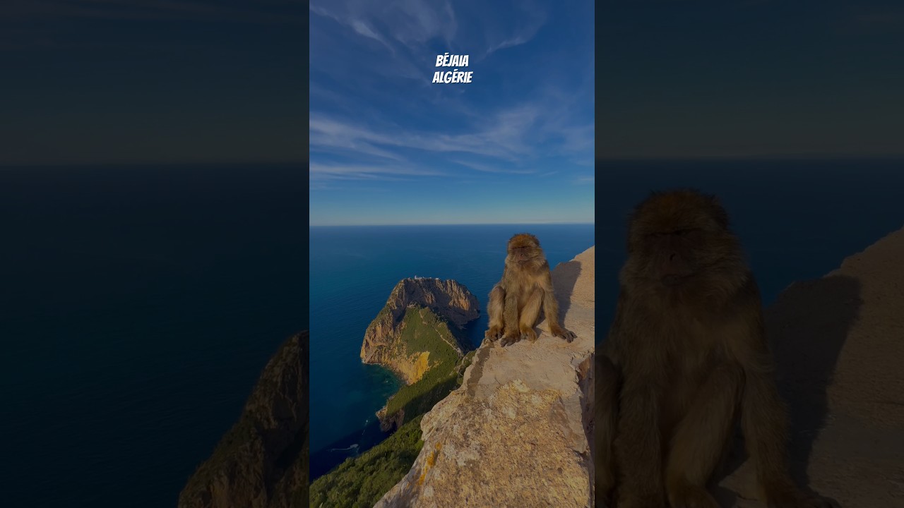 Pic des singes - vue sur cap carbon b&eacute;jaia #music #love #remix #ckay #algerie #travel #bejaia #boat