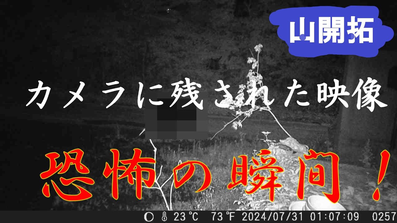 【山開拓】トレイルカメラに残された映像が恐怖でしかない！！