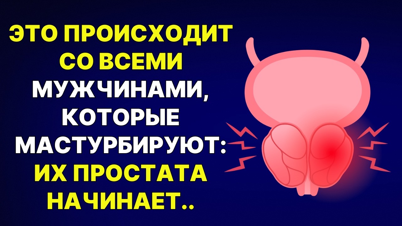 Простата: Функции, Роль в Мужском Здоровье и Репродуктивной Системе