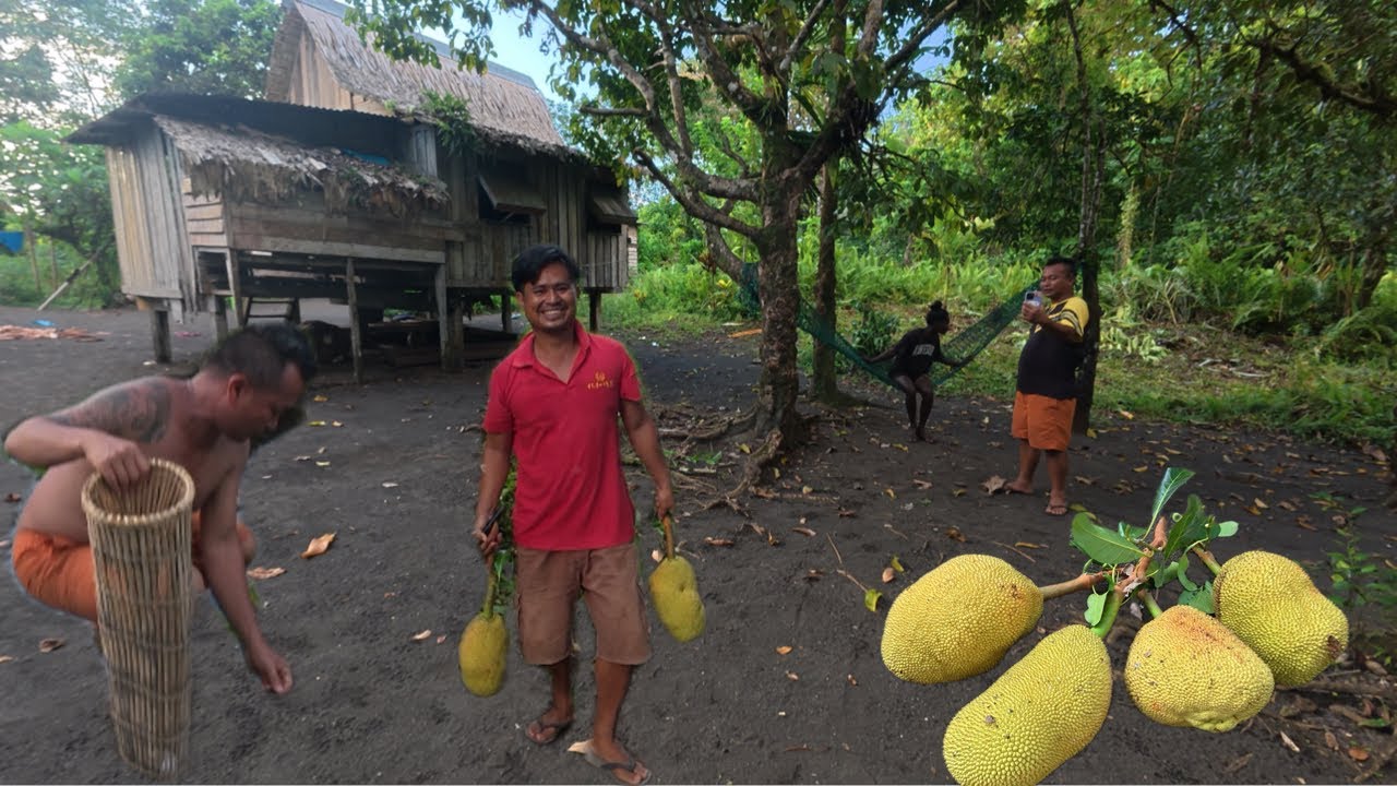 GADIS SOLOMON BAGI BUAH NANGKA MUDA UNTUK BUAT LAUK // PASANG PERANGKAP IKAN