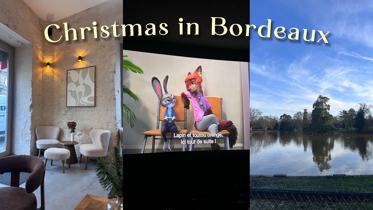 Bordeaux winter's day | christmas market + parcs