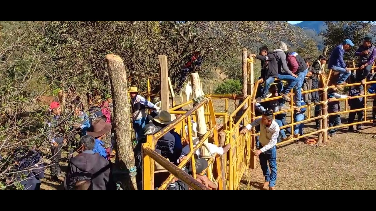 Jaripeo ranchero en San Pedro Cuyaltepec 28 de enero 2023