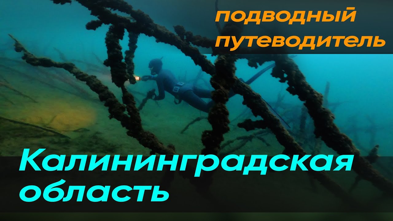 🎯 Подводный путеводитель ApneaPro. Калининградская область. Балтика, Виштенецкое озеро, Синявино.