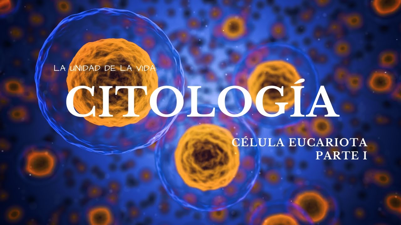 CÉLULA EUCARIOTA I (PARED CELULAR - GLUCOCÁLIX - MEMBRANA CELULAR - TRANSPORTE PASIVO - ACTIVO)