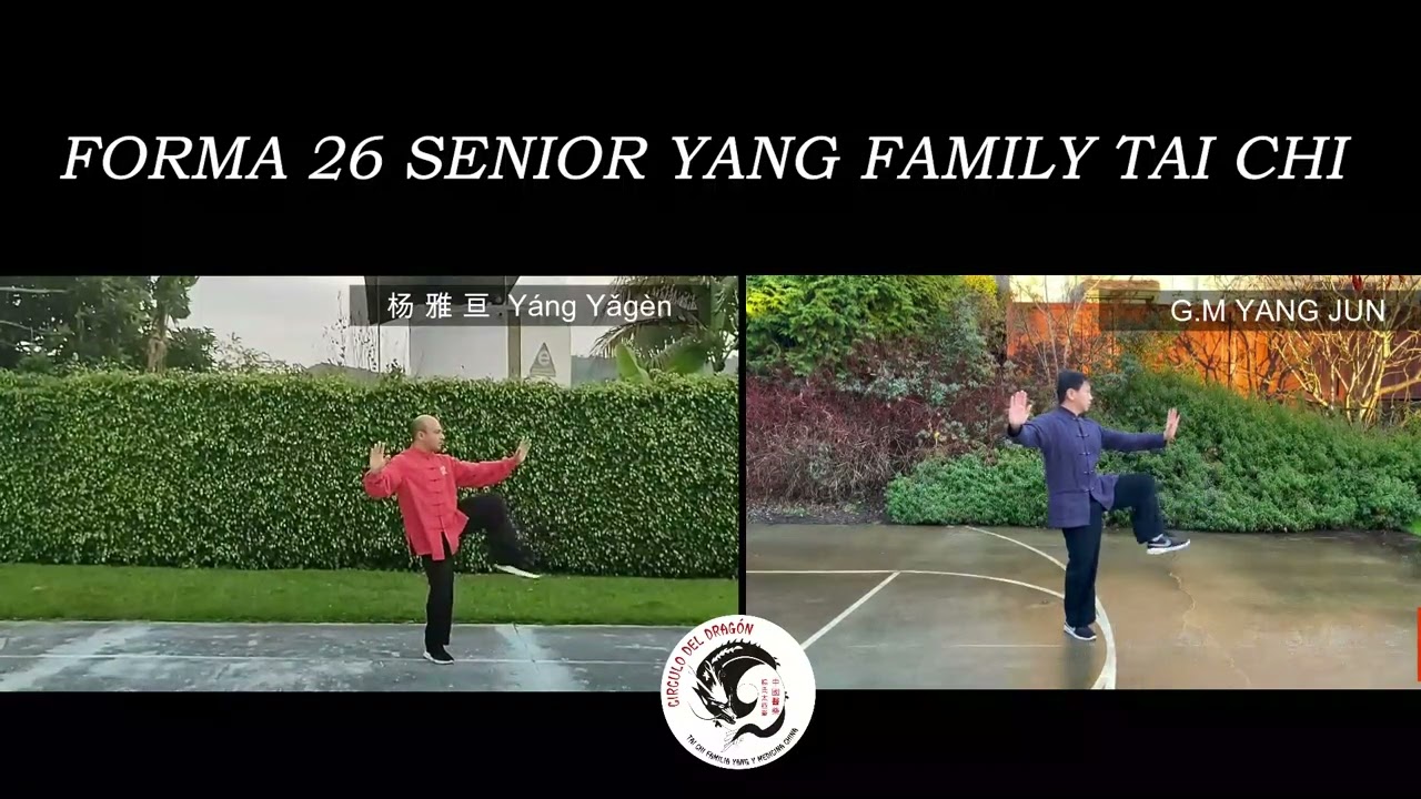 FORMA 26 SENIOR YANG FAMILY TAI CHI