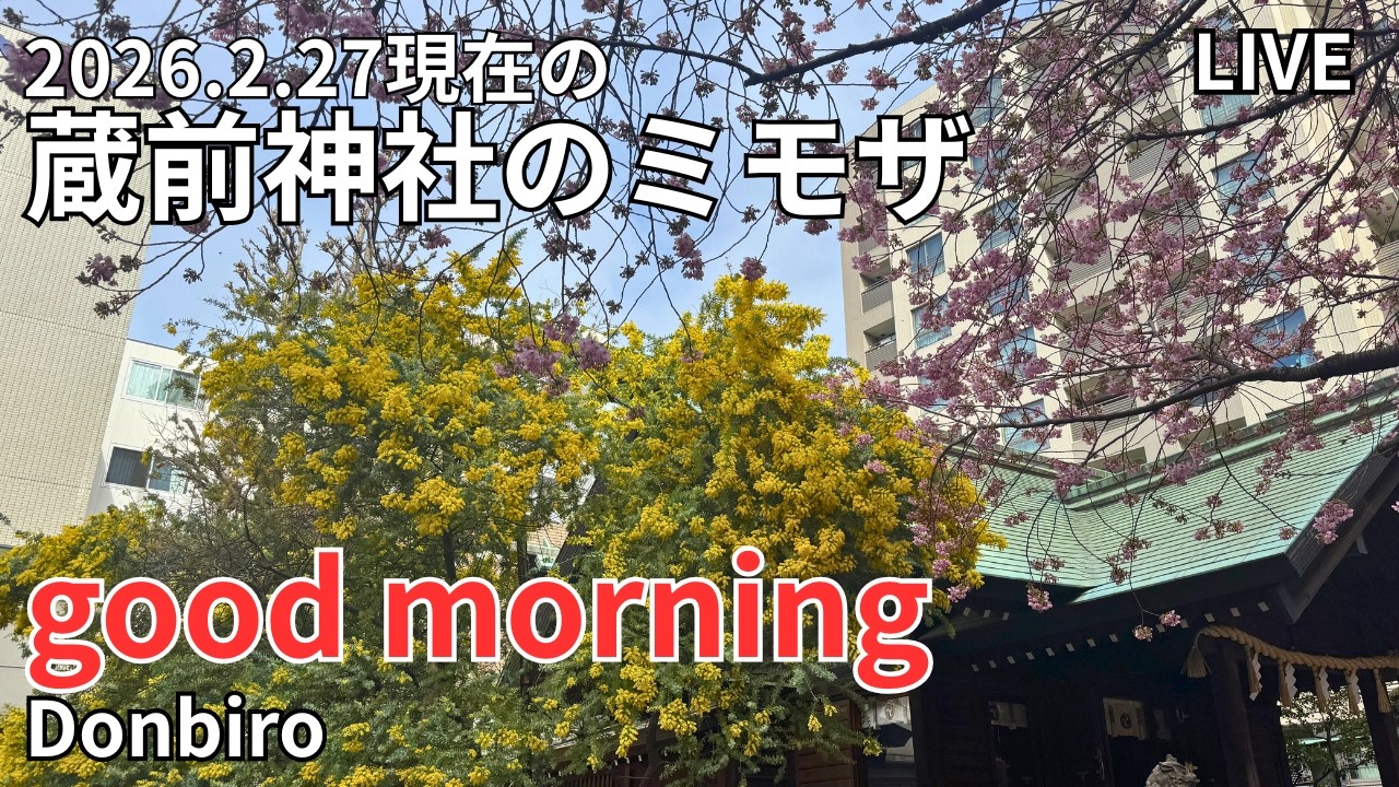 [出勤ライブ]浅草から、蔵前神社まで歩✨[Work Live] Walk from Asakusa to Kuramae Shrine✨