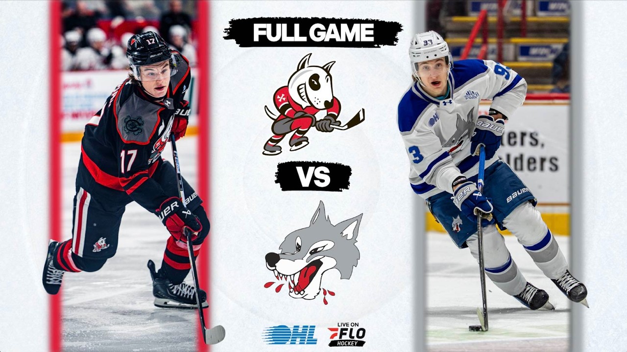 OHL Free Live Stream - Niagara IceDogs vs Sudbury Wolves | FloHockey Free Stream