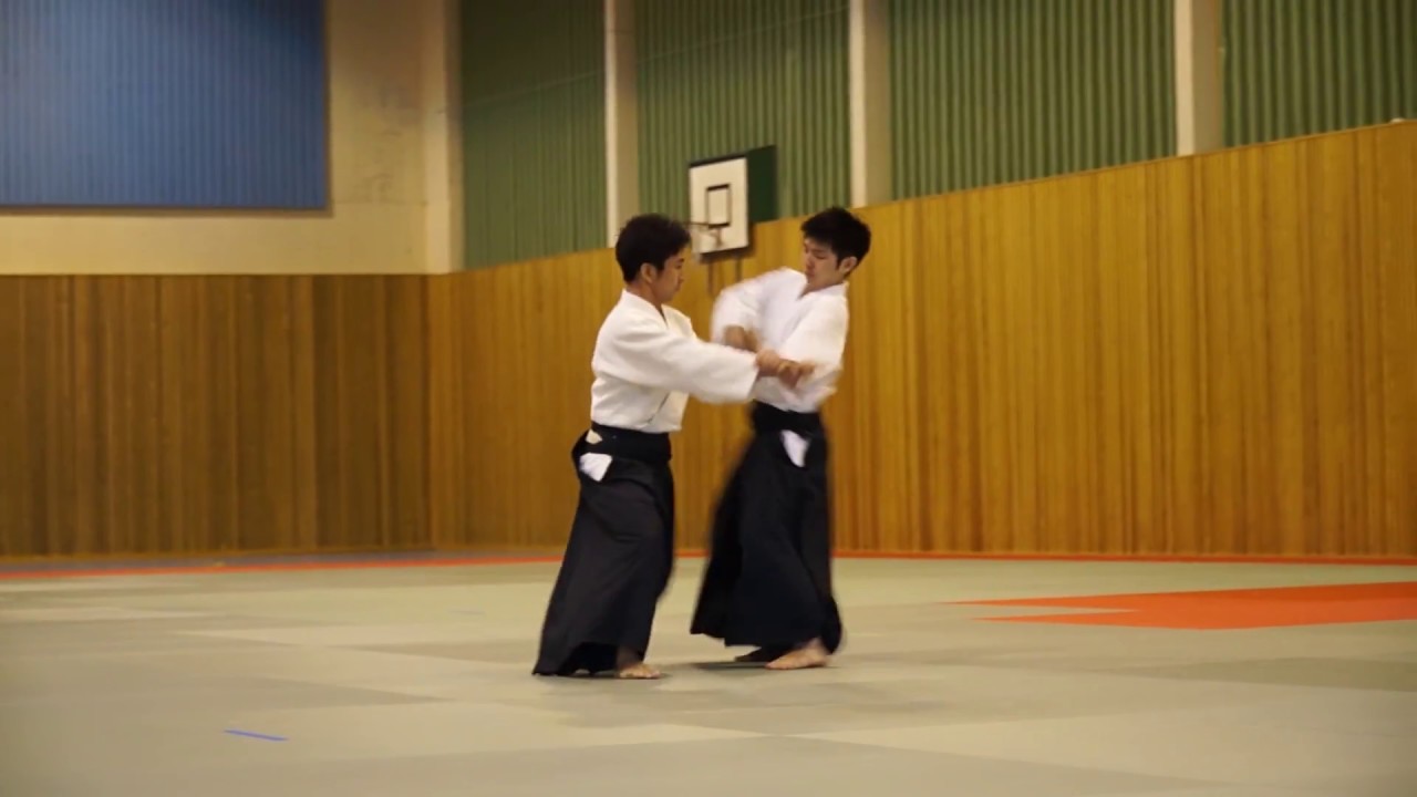 Aikido demo - Norwegian Aikido 40 year anniversary