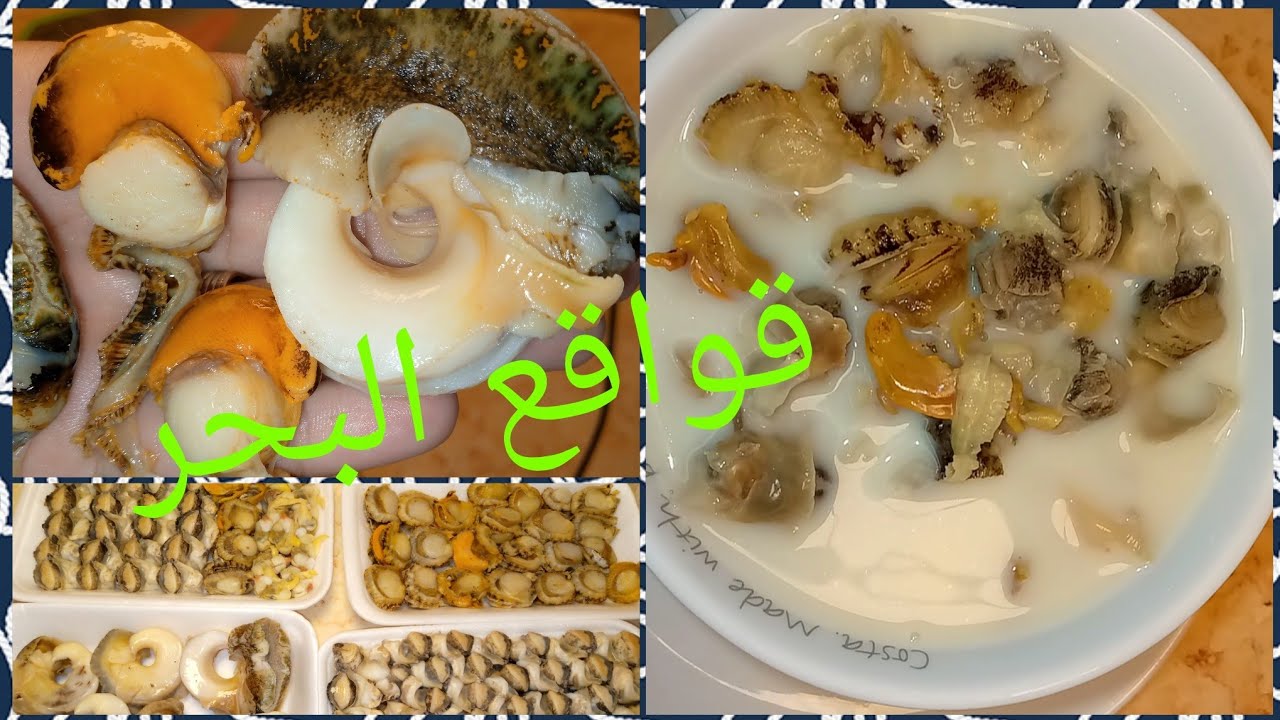 طريقه عمل قواقع البحر  🦪🐚#اللوجز🐚 #البصر# طماطم_البحر 🐚# الجندوفلي🦪#شوربه_سي_فوود# سمك_السويس