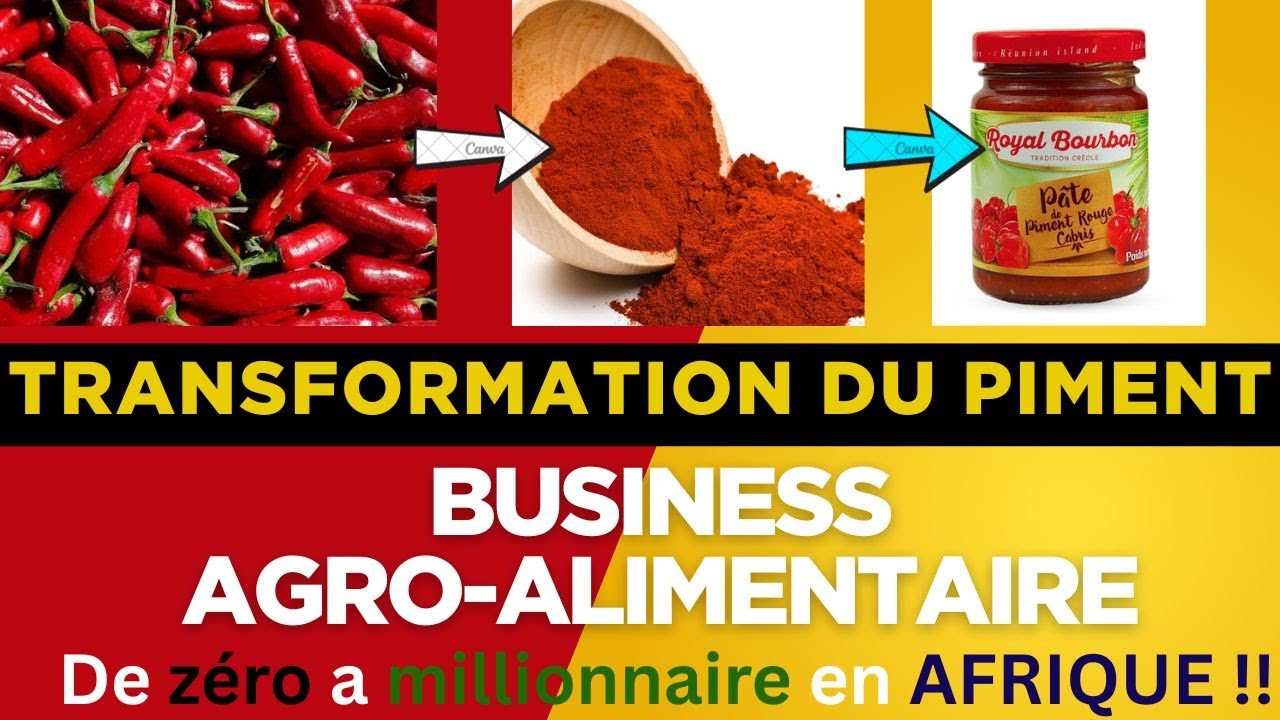 TRANSFORMATION DU PIMENT : Business en OR - l'Afrique a de grandes richesses en mati&egrave;res premi&egrave;res!