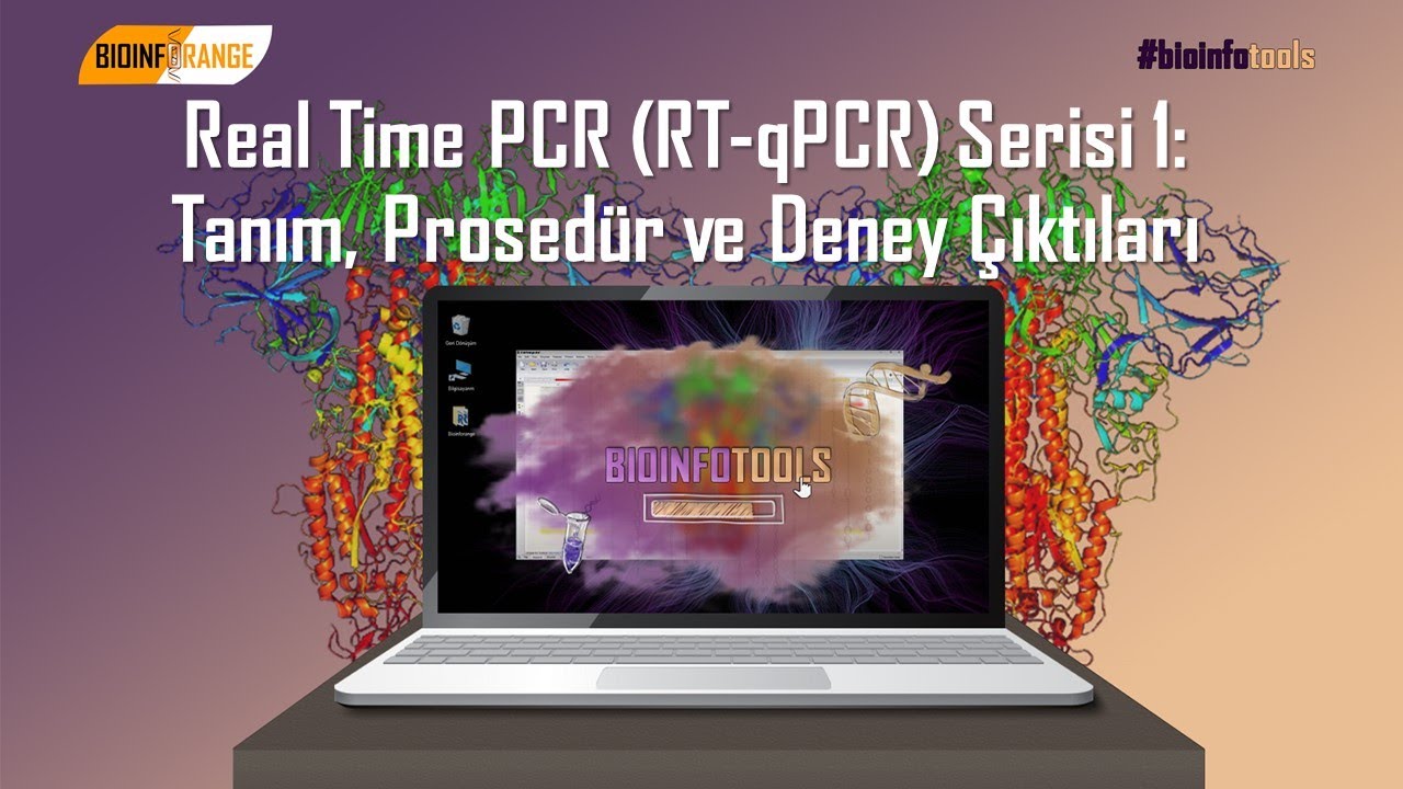 Real Time PCR (RT-qPCR) Serisi 1: Tanım, Prosedür ve Deney Çıktıları | Bioinfotools