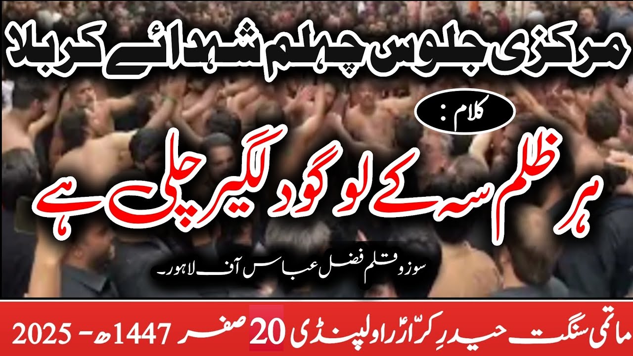 20 SAFAR JALOUS E CHELUM RAWALPINDI 1447H-2025 | MATMI SANGAT HAIDER-E-KRRAR (A.S) RAWALPINDI