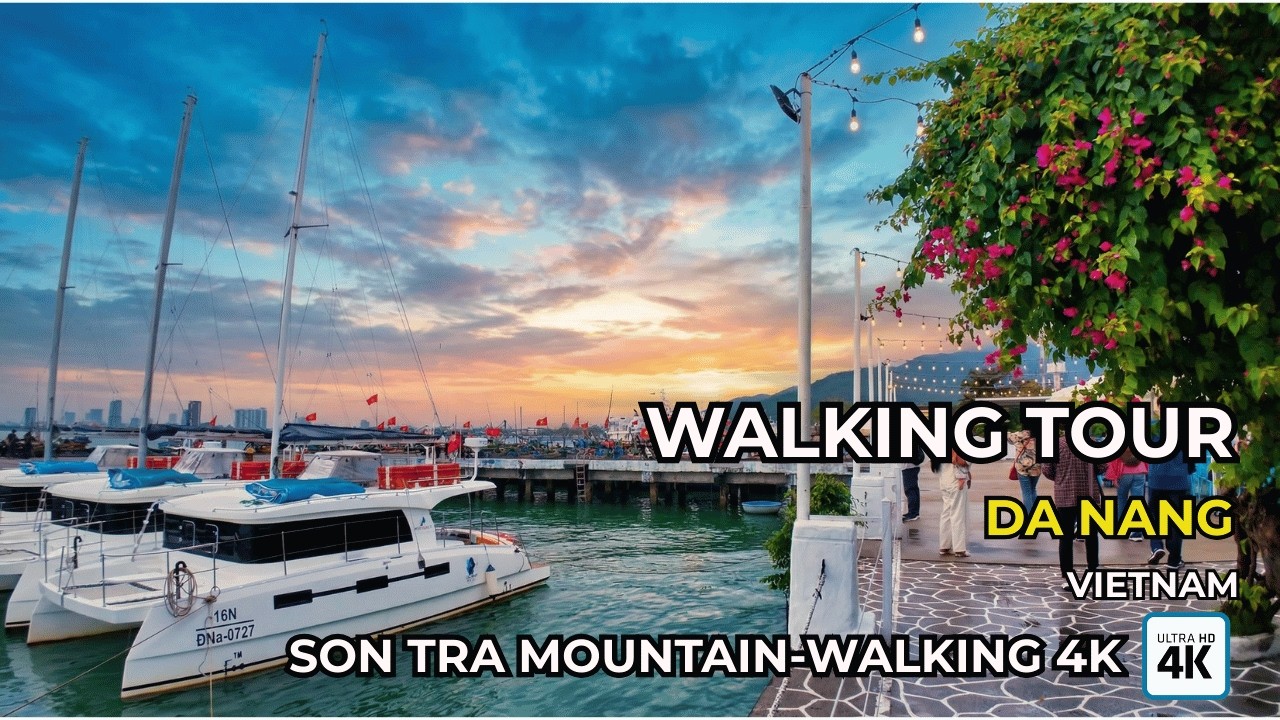 SON TRA Da Nang The Secret Paradise You Need to Visit Now 4k Walking
