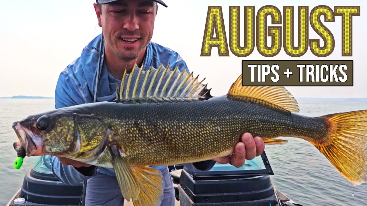 AUGUST WALLEYE TIPS (Mid/Late Summer + Dog Days Tactics)