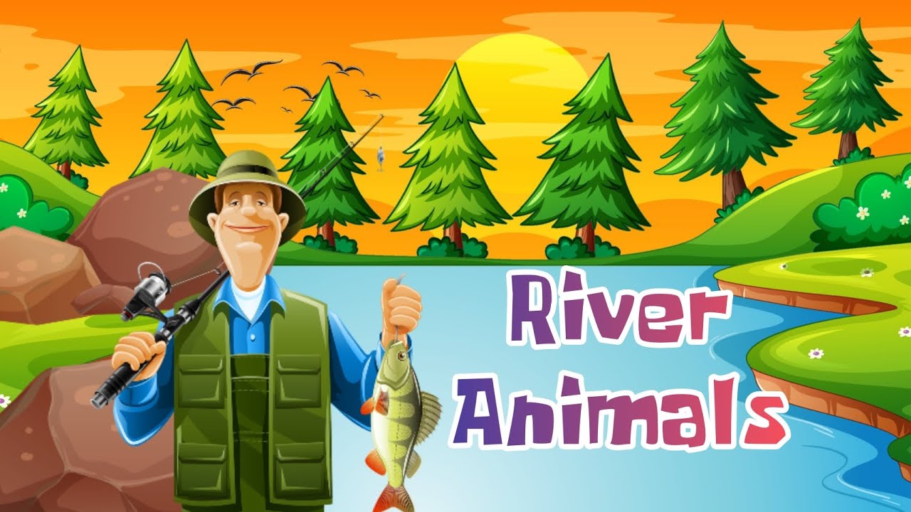 River Animal Names | Animals live in the river | English for Kids | Binatang sungai
