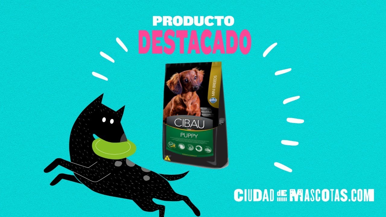 Ciudaddemascotas.com: CIBAU Puppy Mini Breeds