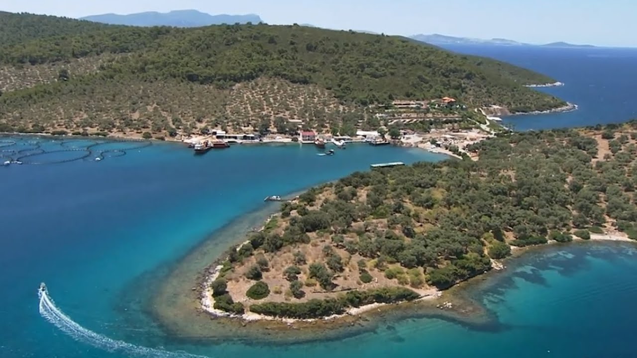Salih Adası