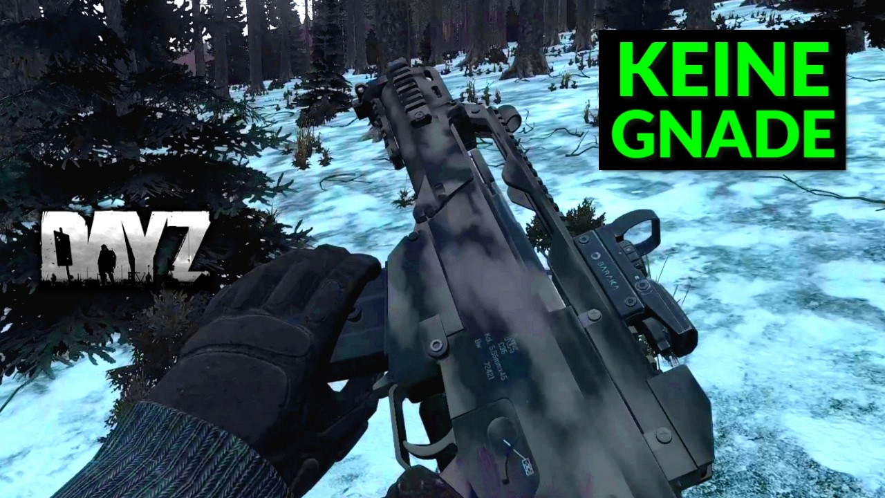 Ein schonungsloser DayZ Solo-Spieler im unerbittlich kalten Überlebenskampf │ Coday