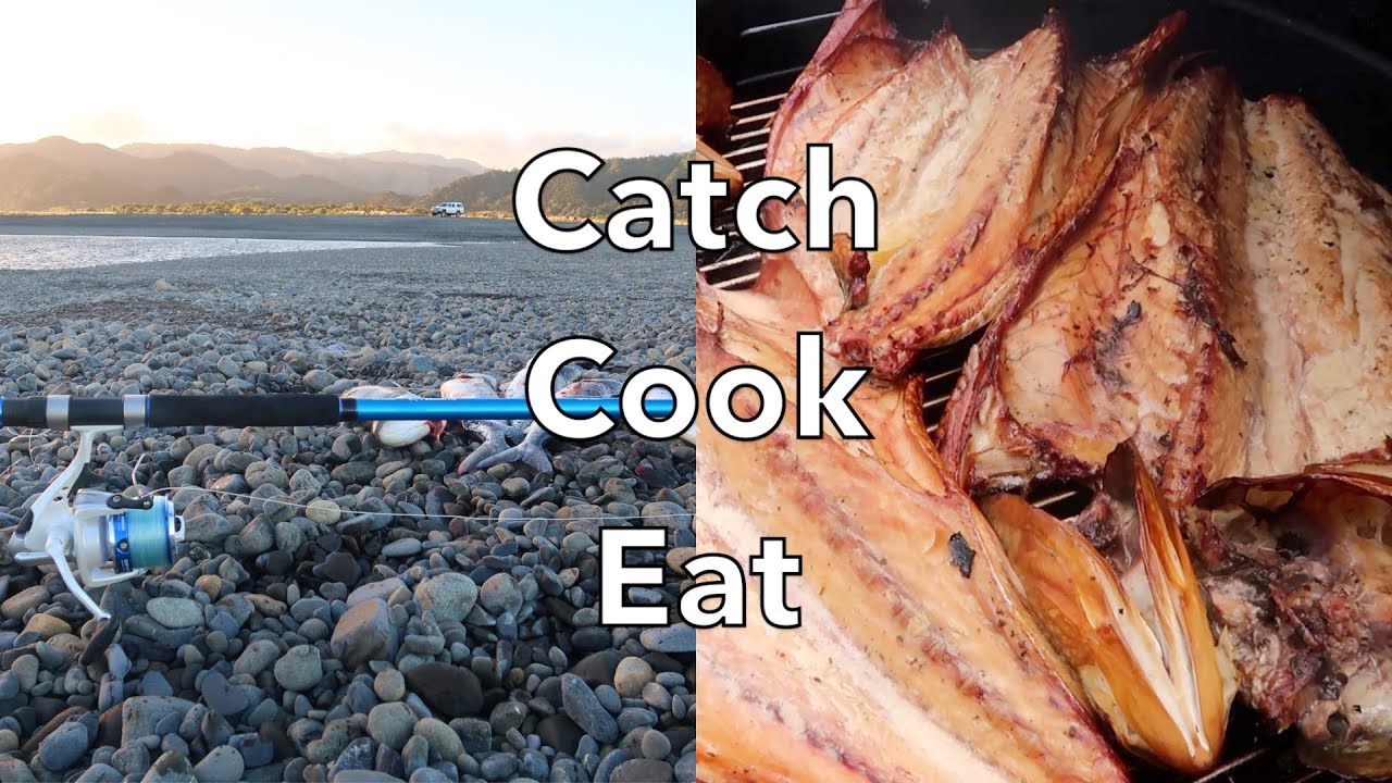 Awesome Quick MOTU Kahawai Session- CATCH COOK EAT Weber Smoked Fish! (give away)
