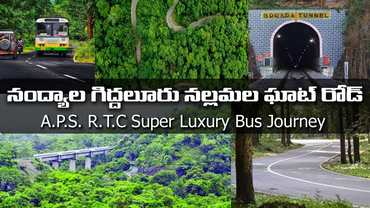 APS RTC BUS JOURNEY | Nandyal - Giddalur | Nallamala Ghat Road | Telugu Solo Traveller