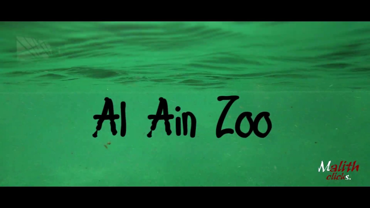 Al Ain Zoo, UAE 🇦🇪 | E03