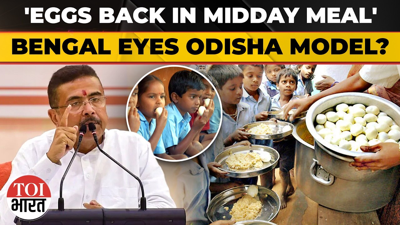 After Midday Meal Egg Row, Bengal Looks at Odisha Model to Continue Serving Eggs in Schools