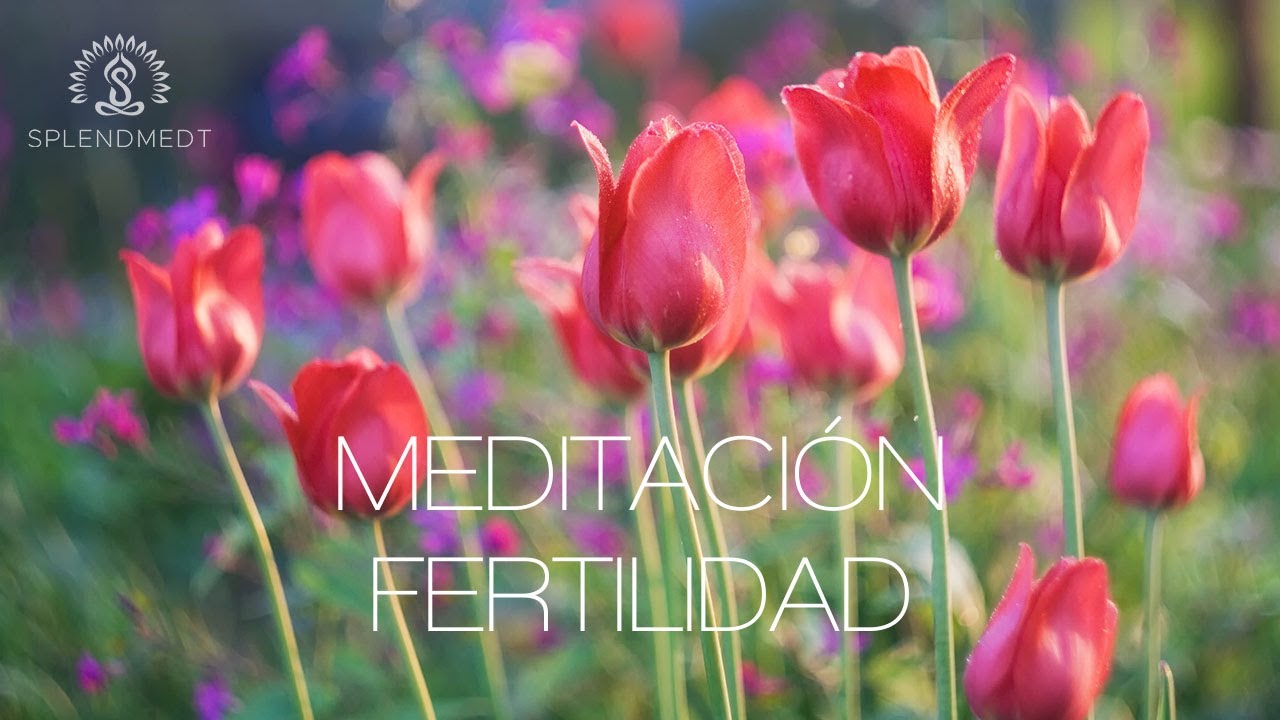 Meditaci&oacute;n de Fertilidad para Invitar a tu Beb&eacute; a Entrar en tu &Uacute;tero | Splendmedt