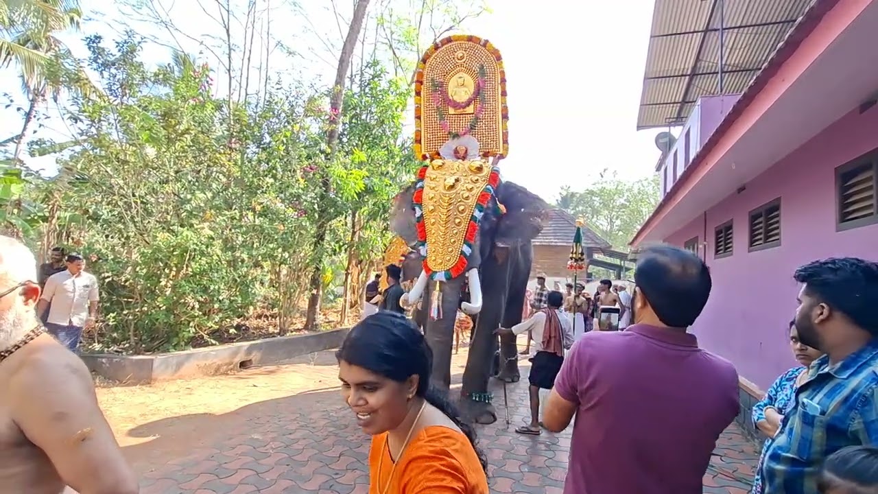 Alanaloor ayappan kavu pooram 2026 arambam plkd 