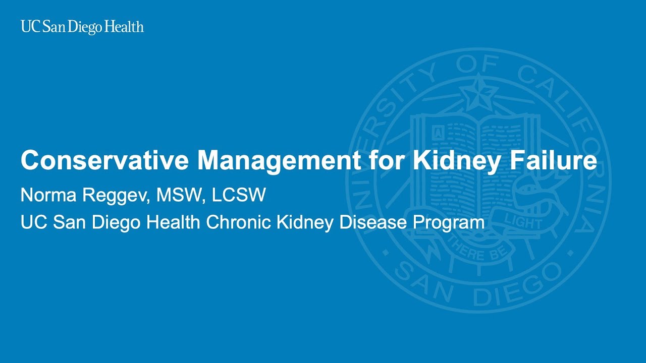 Conservative Management for Kidney Failure