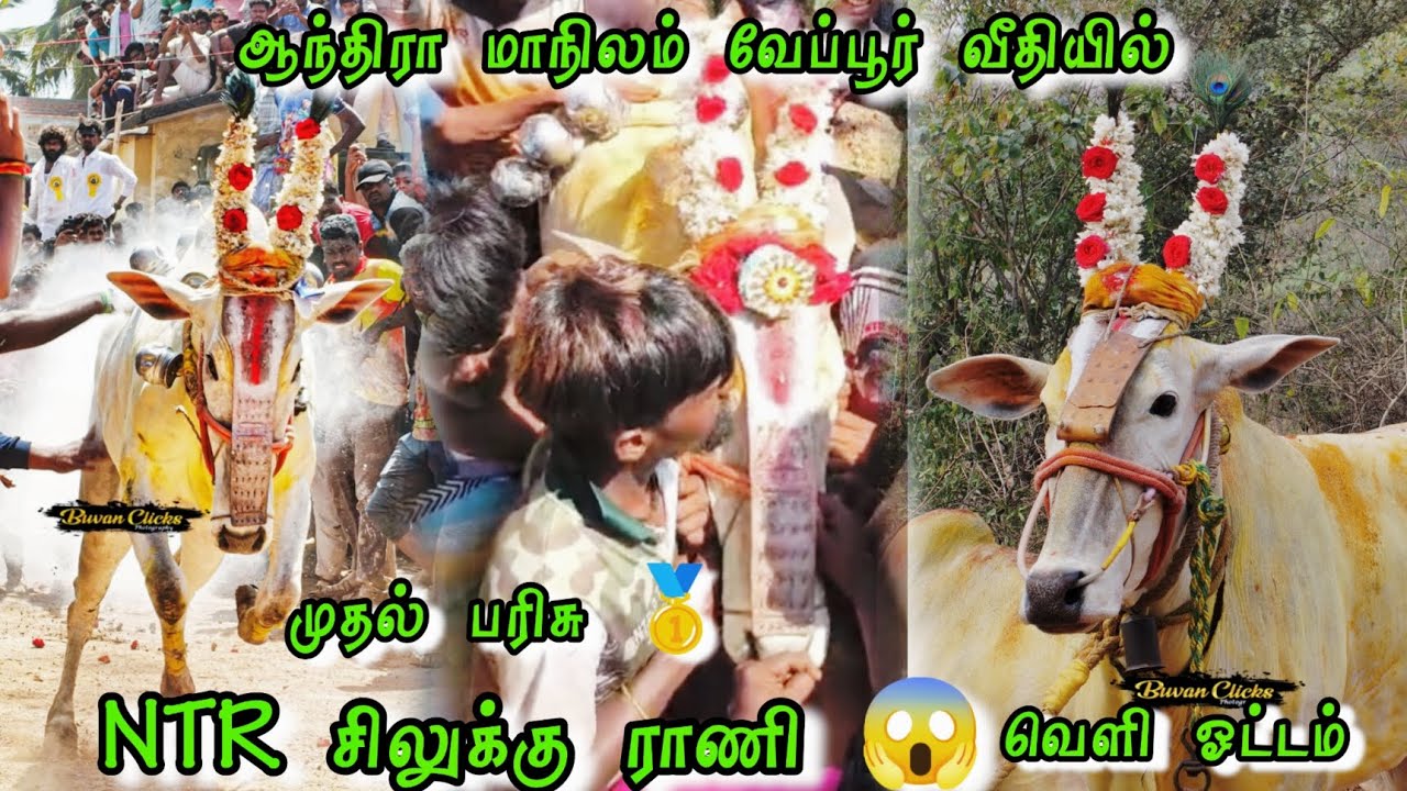 ஆந்திரா மாநிலம் வேப்பூர் வீதியில் 🥵 NTR சிலுக்கு ராணி 😱 முதல் பரிசு 🥇 வெளி ஓட்டம் 😱 அட்டகாசம் 🔥