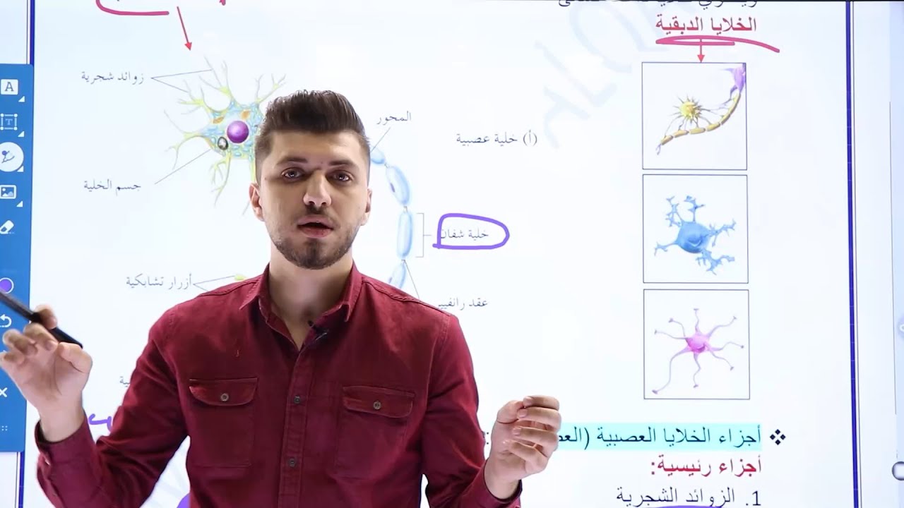 أحياء التوجيهي 2004 | مقدمة في الإحساس والإستجابة | الأستاذ محمد القاضي (المنهاج القديم)
