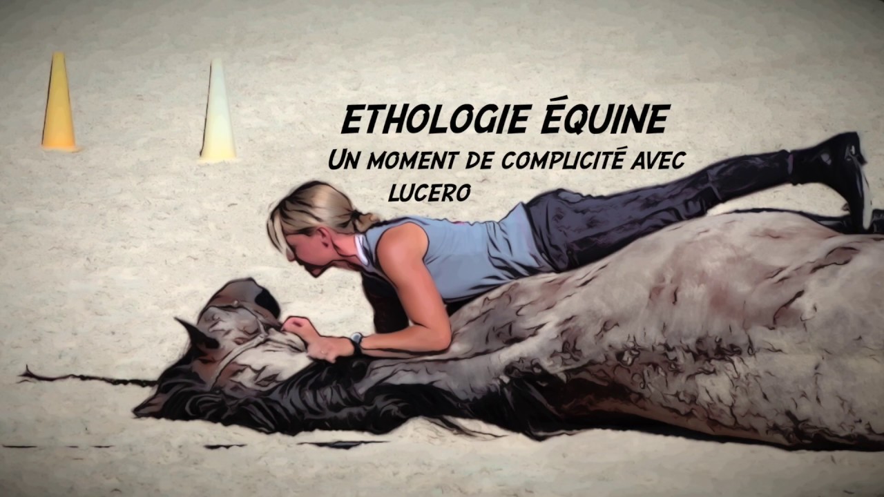 Éthologie avec Lucero