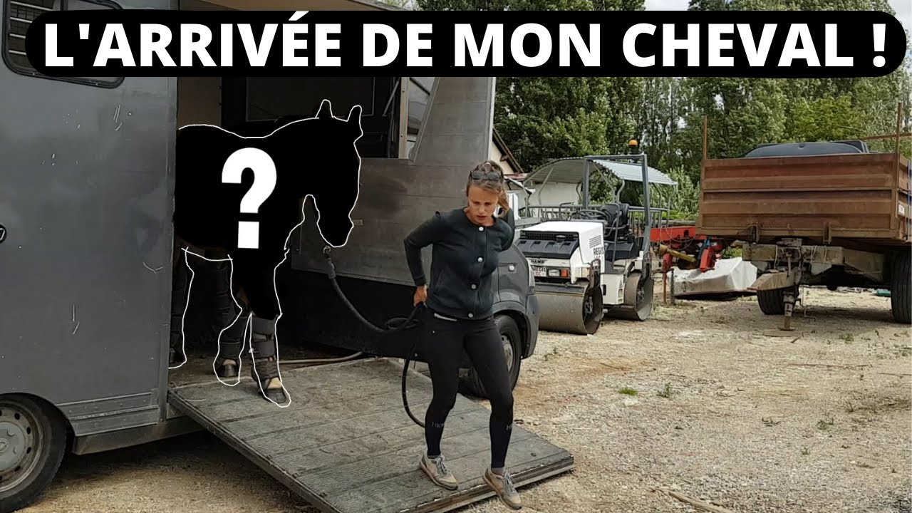 L’ESSAI ET L’ARRIVÉE DE MON CHEVAL ! (Equi Galwaye)