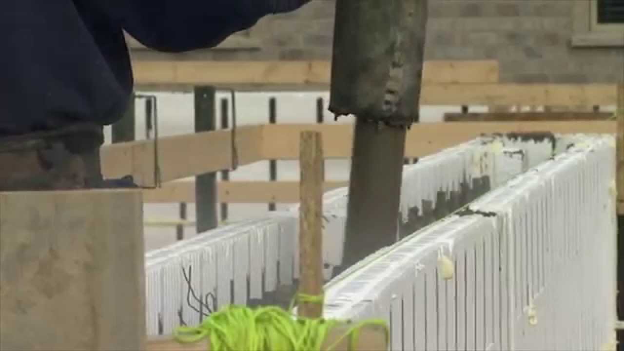 Planning & Foundation Review | Built to Last TV - The Green Home