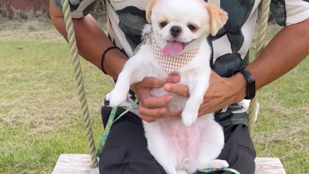 初ブランコ♡