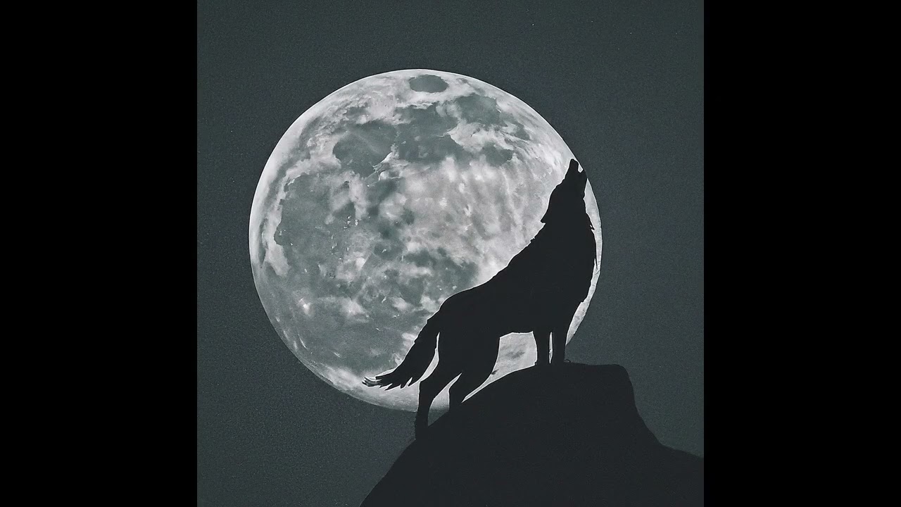 Howl at the moon