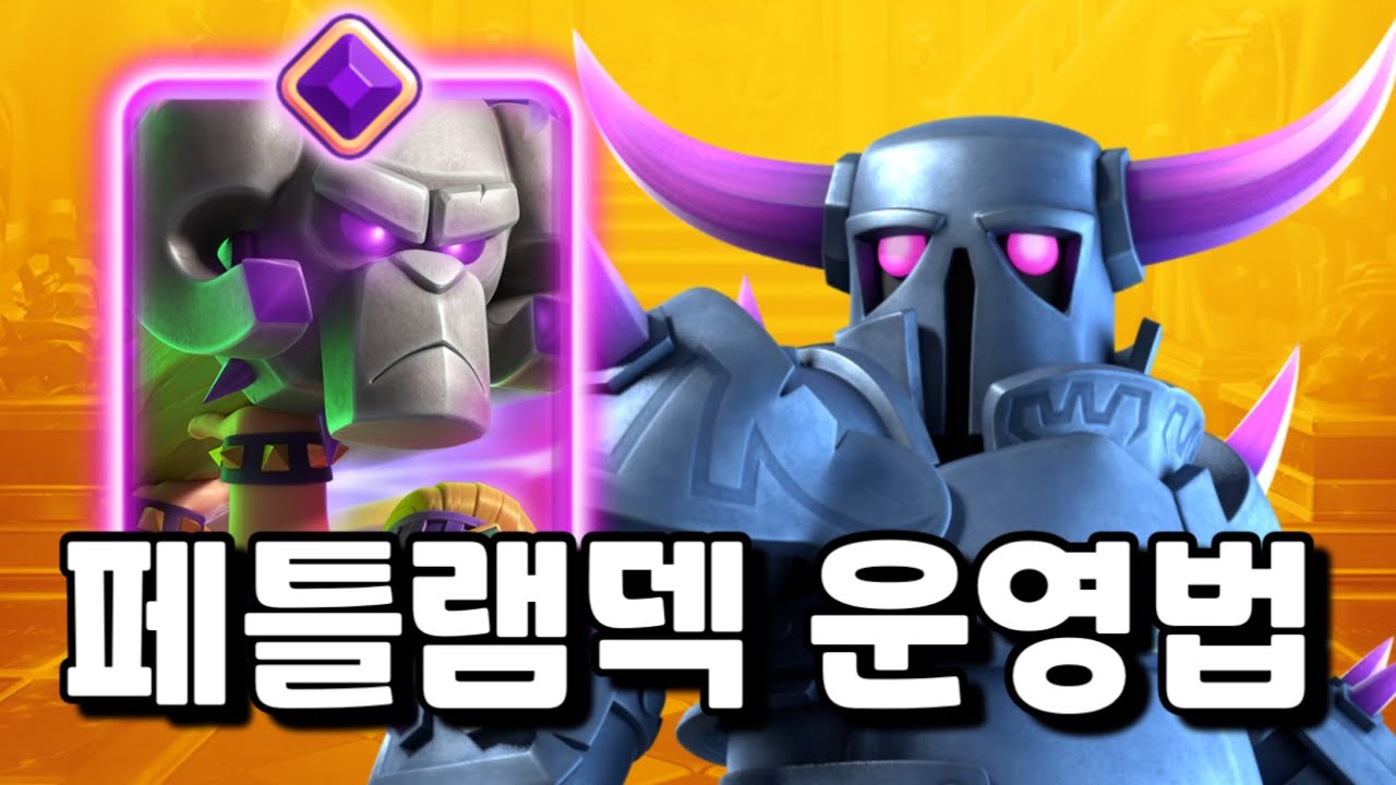한국 1등이 알려주는 페틀램덱 운영법 