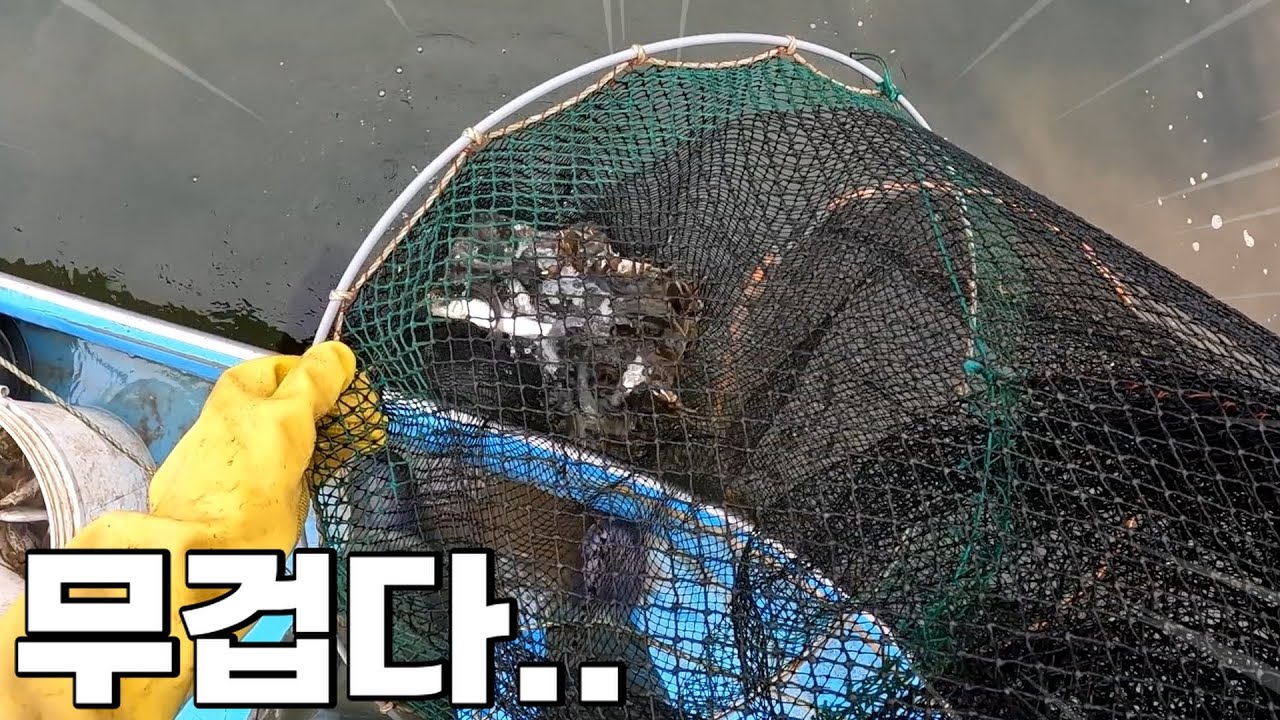 민물고기가 허리 나갈만큼 많이 잡히네요.. 임진강의 끝은 어디인가..