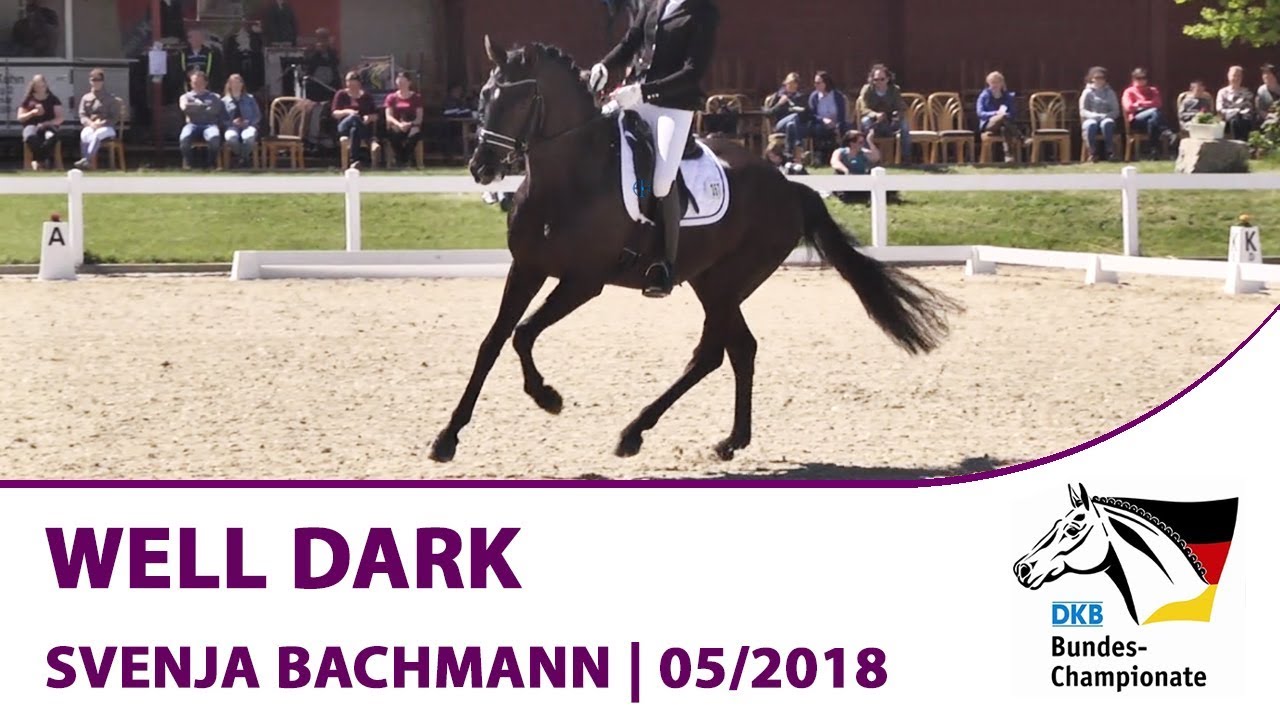 DKB-Bundeschampionat 2018 | Qualifikation Calden-Fürstenwald | Well Dark