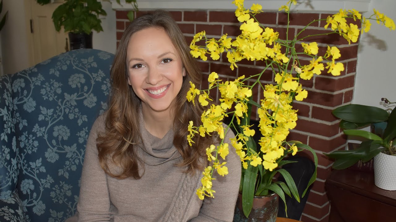 Dancing Lady Orchid Care // Oncidium Alliance Orchid Care //Northlawn Flower Farm