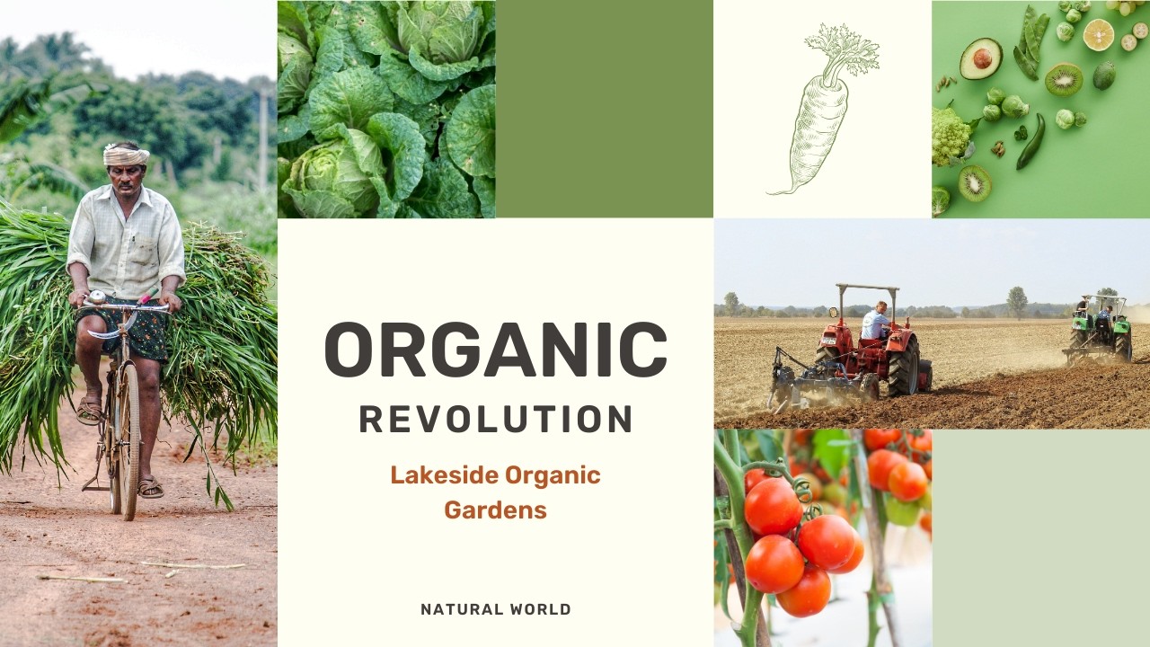 The Organic Revolution!