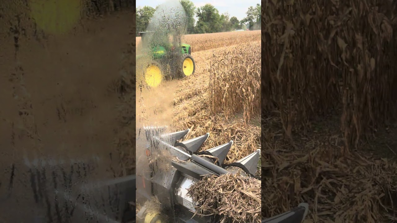 Fendt 8T combine unloading corn #harvest #agriculture #farm #cornharvest