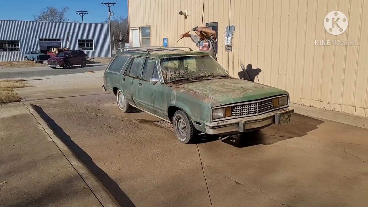 Malaise Rescue: 1978 Ford Fairmont station wagon pulled from the woods! Walk around + first wash!