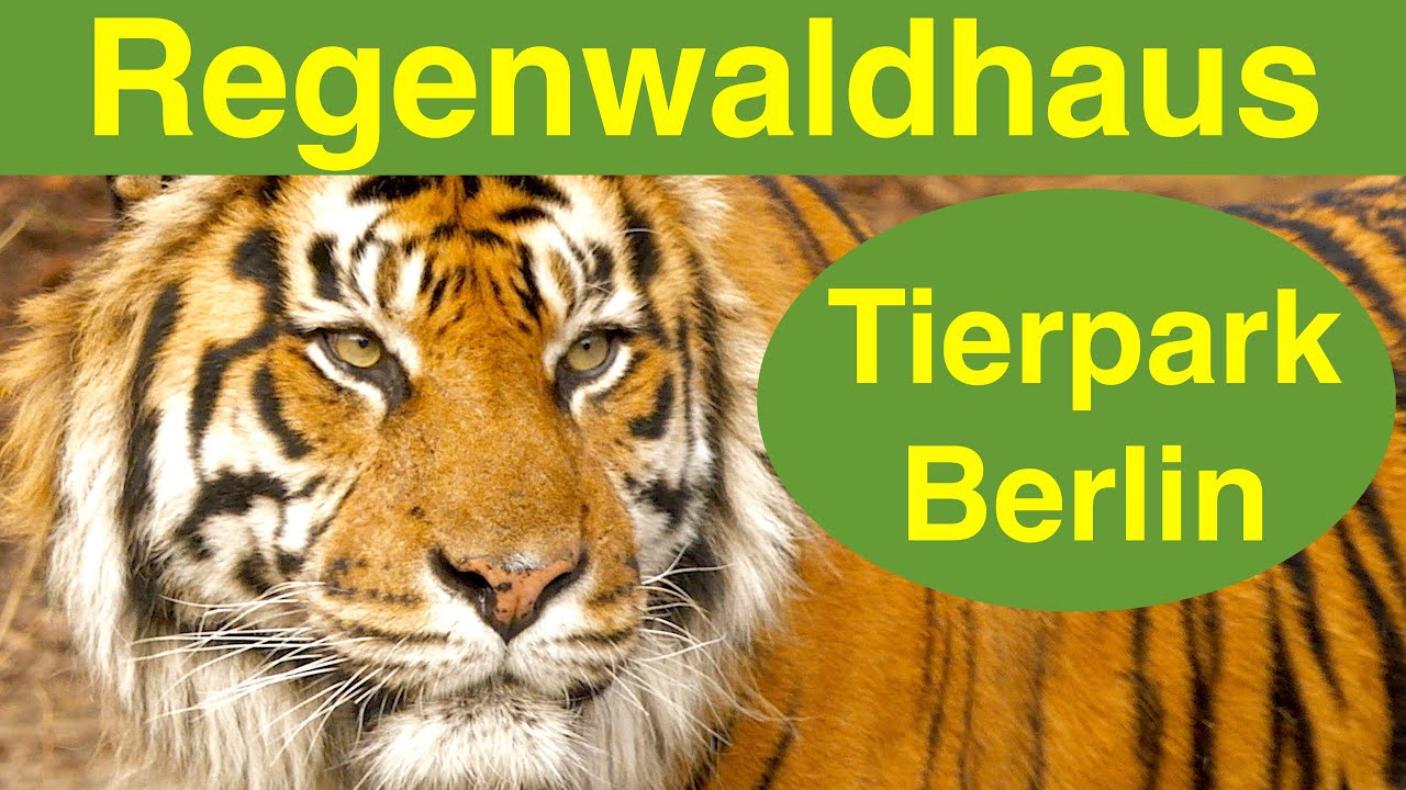Regenwaldhaus im Tierpark Berlin(moderiert)